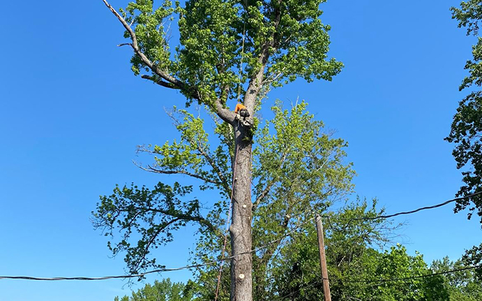 Auto Fuel Rescue in Hesperia