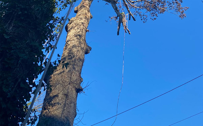 Towing emergency services in california