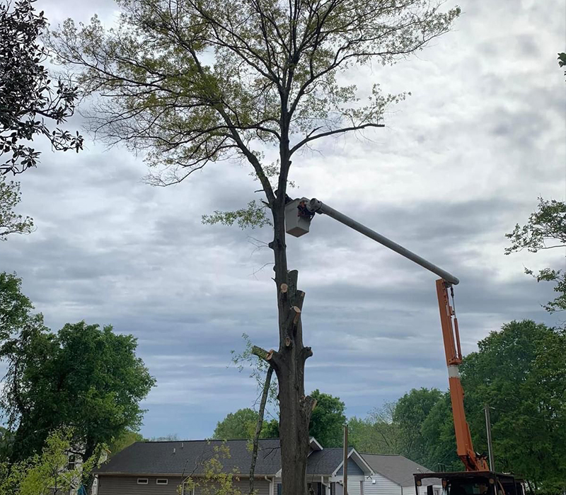 Towing services in Hesperia