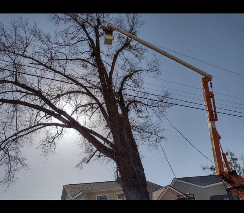 Towing services in Hesperia