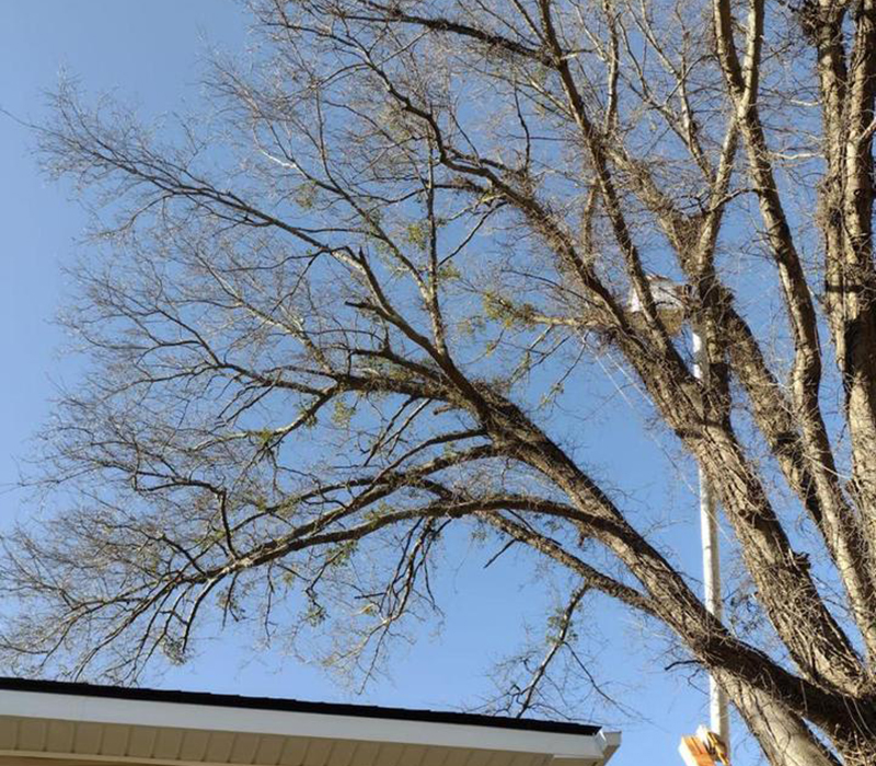 Towing services in Hesperia