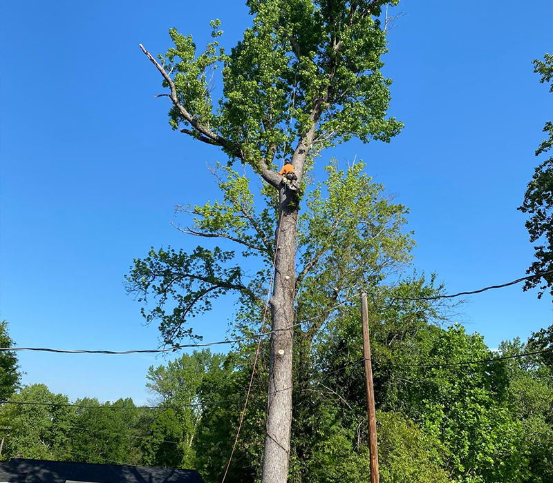 Towing services in Hesperia