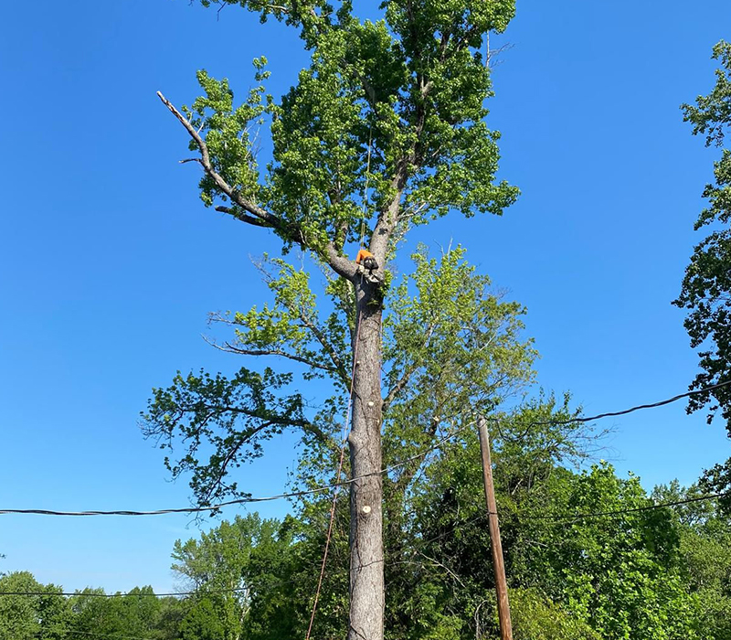 Towing services in Hesperia