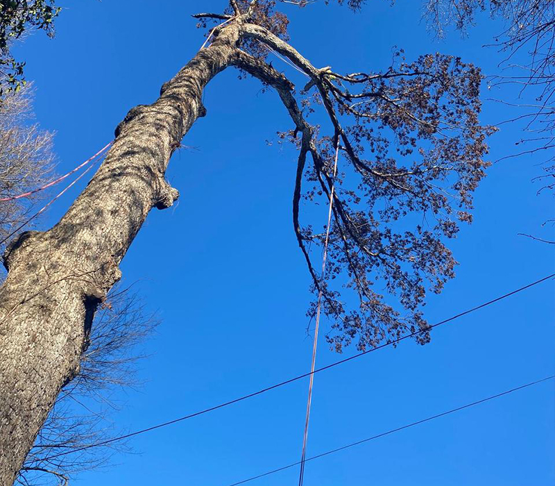 Towing services in Hesperia